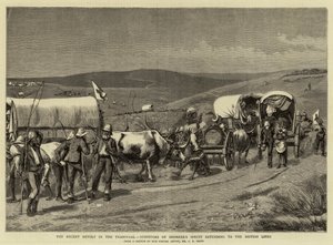 Nedávná vzpoura v Transvaalu, Survivors of Bronker